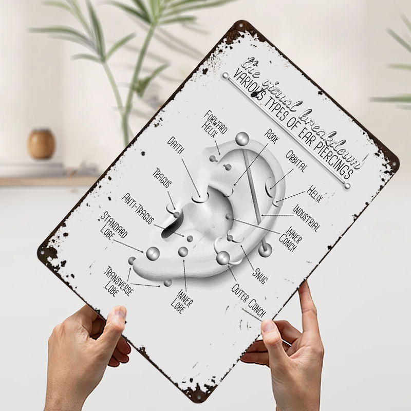 Ear Piercing Chart Metal Poste - Desk Setup Poster ulasan dan harga